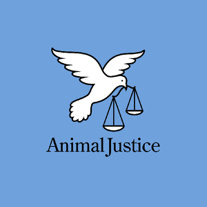 Fundraising Page: Animal Justice Staff